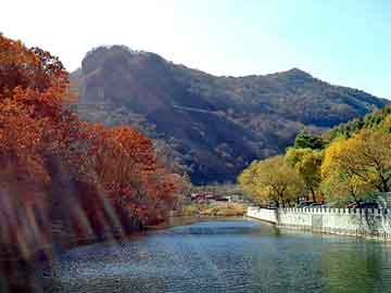 管家婆黑白马报图库，小巷古董店